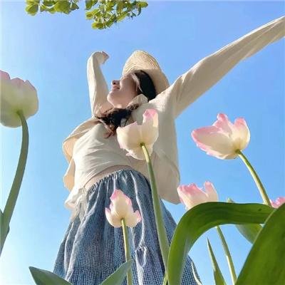 权力的堡垒 第四季